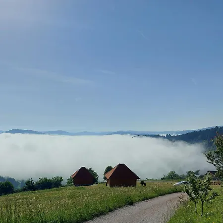 Дом отдыха Etno Domacinstvo Uvacki Konaci *